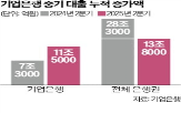 중기,대출,기업은행,공급,기업
