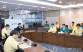 국민,안전,점검,대응,장관,생명
