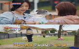 반려견,행동,제공,케어,교육,팔레드차밍,전문가