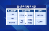 흑연,포스코퓨처엠,배터리,음극재,중국산,미국,전기차,관세,업체,유상증자