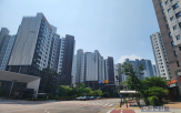 전셋값,과천,이주,세입자,전세,수요,전용