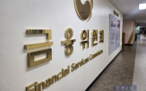 금융위,부위원장,조직,조직개편,규제,금융당국