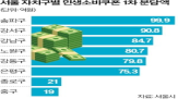 서울시,자치구,소비쿠폰,지방채,사업,정부