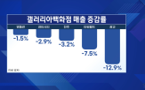 한화갤러리아,백화점,신사업,지난해,파이브가이즈,사업,식음료,최근,매출,상황