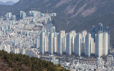 상반기,경쟁률,대형면적,면적,수도권