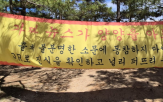 양양,온라인,현수막,지난해,방문객