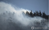 대기질,캐나다,산불,연기,일대