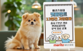 가입,보험금,외이도염,지급