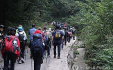 걷기,사망,미국,위험,심혈관