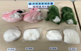 적발,지역,증가,상반기,관세청,코카인,마약