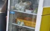 냉장고,강아지,식품