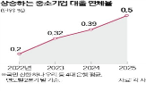 대출,은행,중소기업,연체율