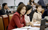 버스,정보,교통,설치,국가