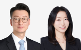 변호사,인수,법무법인,자문,분야,화우