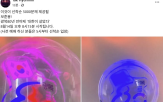 보훈봉,자문관,진행