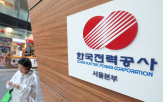 한전,상반기,증가,실적,대비,전년