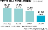전기차,판매량,지난달,시장,캐즘,출시,판매