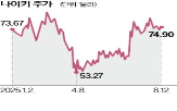 나이키,시장,러닝,브랜드,운동화,평가