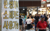 소비,증가,정부,효과