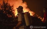 산불,스페인,포르투갈,주요,폭염,진압
