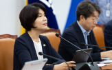 국회,남북합의서,비준,동의,절차,민주당