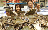 꽃게,롯데마트,판매,금어기,햇꽃게