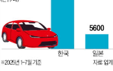 테슬라,차량,일본,자율주행,주행,중국