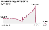 주가,소형주,미국,기업,투자,오스틴,중국