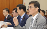 한은,규제,원화,달러,발행,이상,발행량,국회,추진