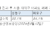 규제,대출,아파트,주거,서민,서울,6·27,마련,강남,공급