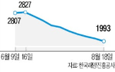 컨테이너,하락