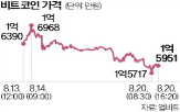 가격,미국,암호화폐,하락,비트코인