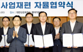 정부,구조조정,기업,지원,감축,대주주,노력,제시,업계,자구