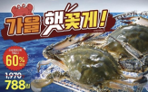 가격,활꽃게,판매,꽃게
