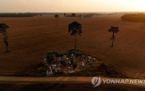 대두,브라질,아마존,파괴