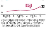 평가,비율,포인트
