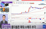 캔들,파인엠텍,롯데관광개발
