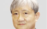 금감원,원장,조직,금소원,소비자
