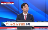 기업,지주사,집중투표제,대규모,상법,개정안