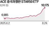 중국,합성,중국판