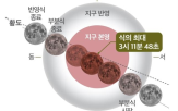 개기월식,새벽,8일,월식,보이