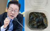 해삼,부산,논란,가격,횟집,7만,바가지,표시,단속