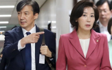 의원,조국,돼지,아부,머리