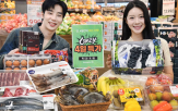 홈플러스
