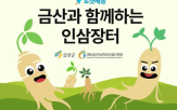 인삼,금산,금산군
