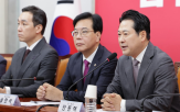 특검,민의힘,내란,민주당