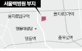 부지,서울백병원,구역,이번,개발,업계