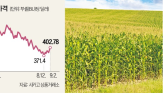 옥수수,가격,미국,주요,예상,기록,풍년
