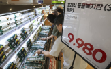 가격,인하,계란,농식품부