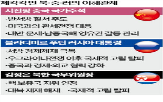 중국,북한,러시아,미국,정상회담,중러,가능성,우크라이나